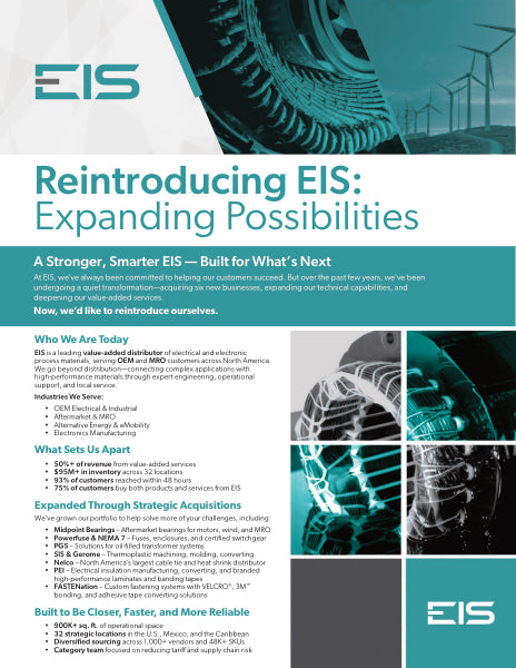 EIS Company Overview Flyer